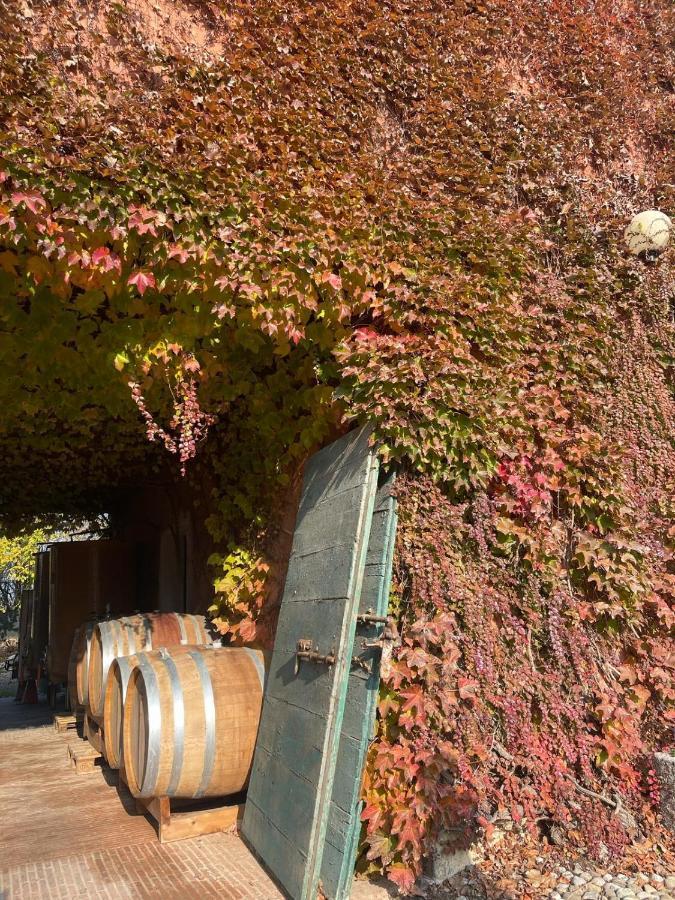 Tenuta Pizzone Wine Resort Rivanazzano Terme Extérieur photo